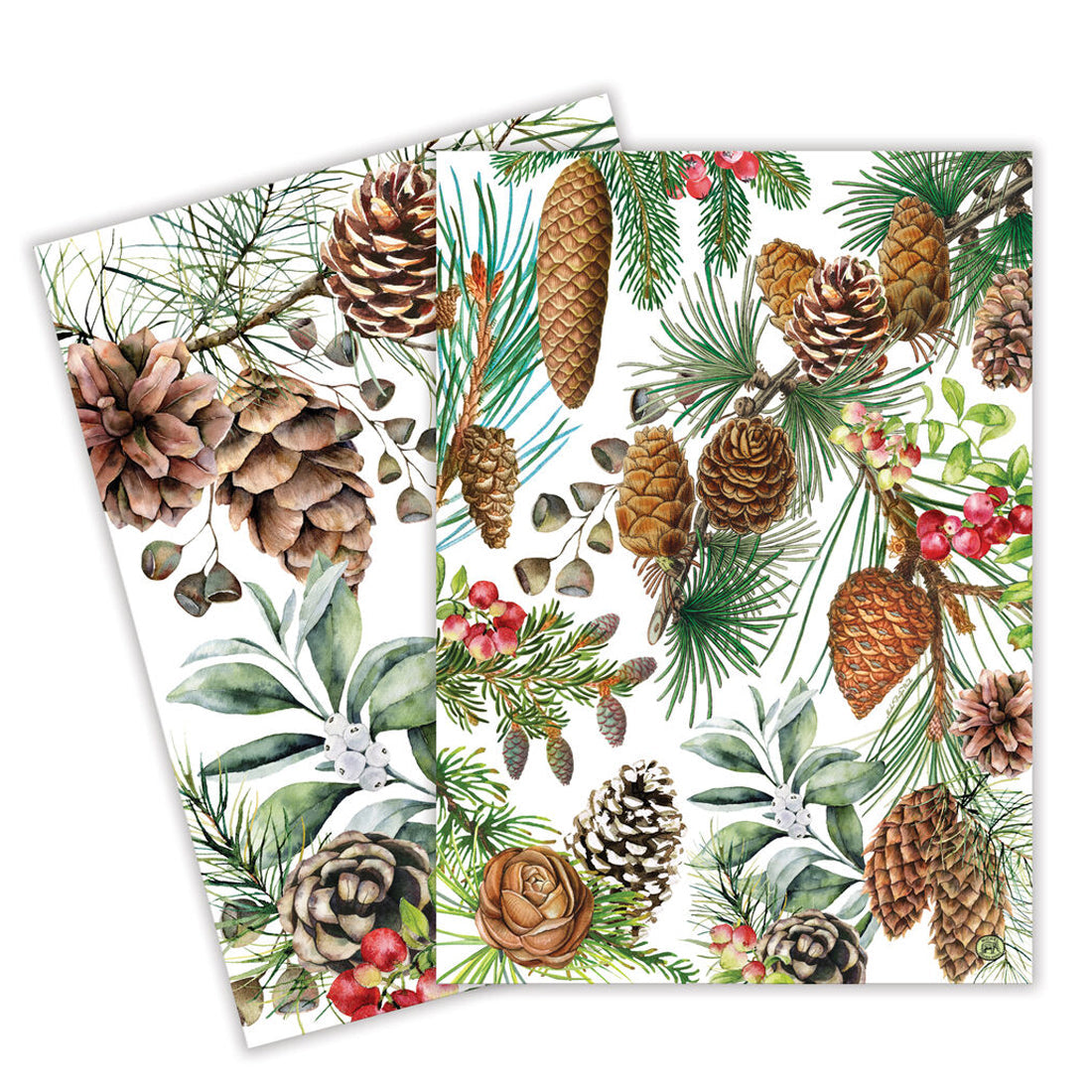 White Spruce Cotton Kitchen Towels (Set of 2)